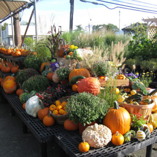Inside Morristown Agway