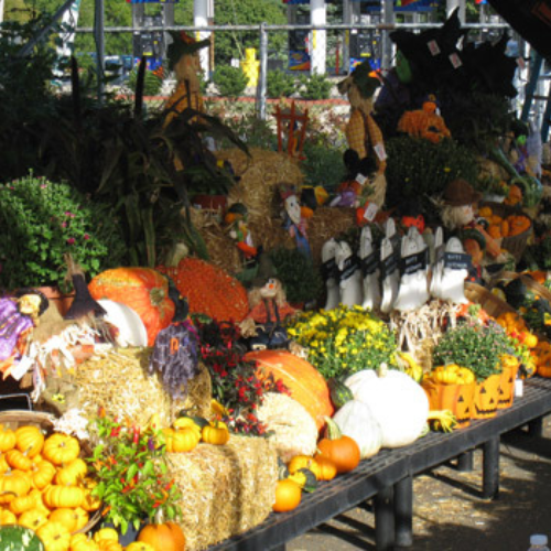 Inside Morristown Agway