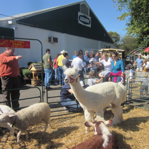 Morristown Agway's Annual Petting Zoo