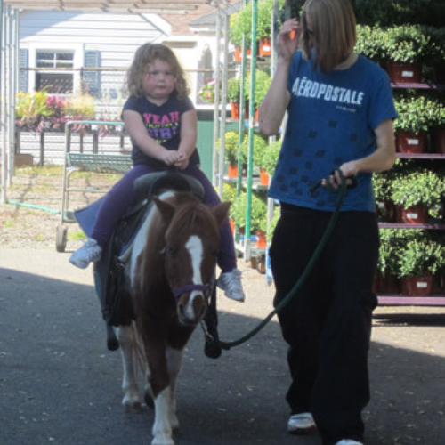 Morristown Agway's Annual Petting Zoo