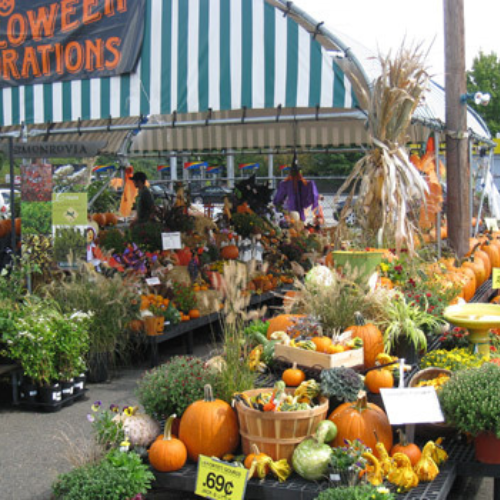 Inside Morristown Agway