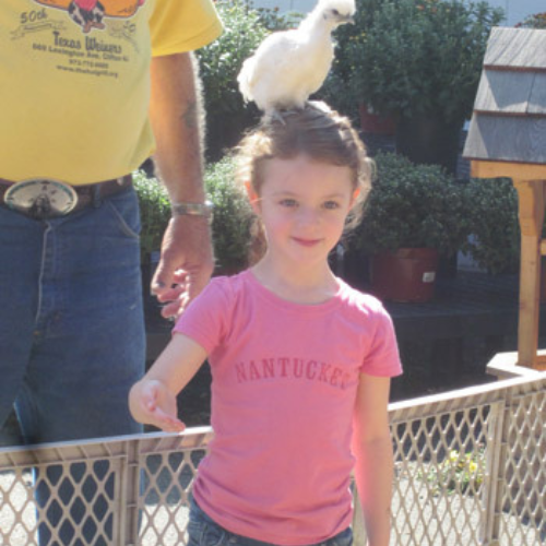Morristown Agway's Annual Petting Zoo