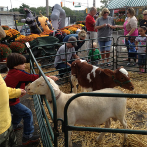 Morristown Agway's Annual Petting Zoo