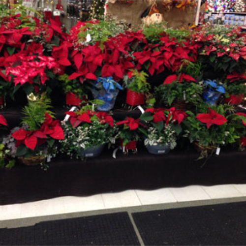 Inside Morristown Agway