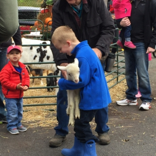 Morristown Agway's Annual Petting Zoo