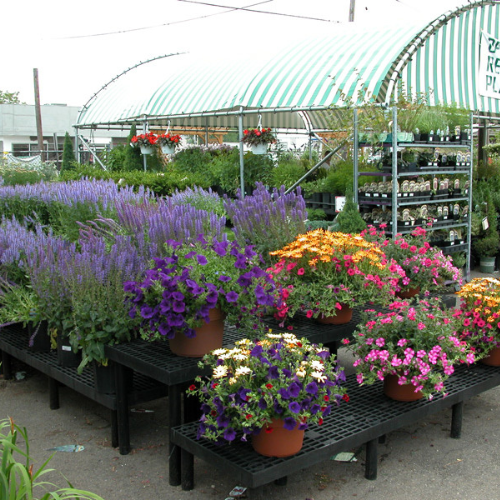 Inside Morristown Agway