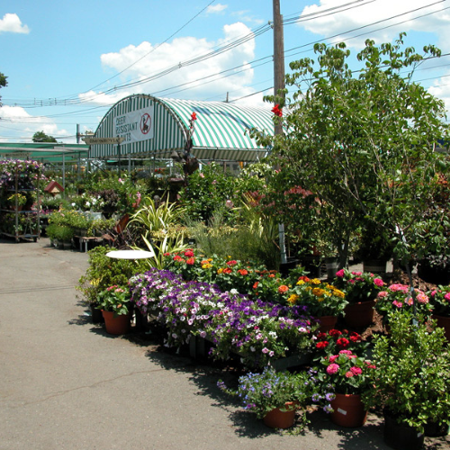 Inside Morristown Agway