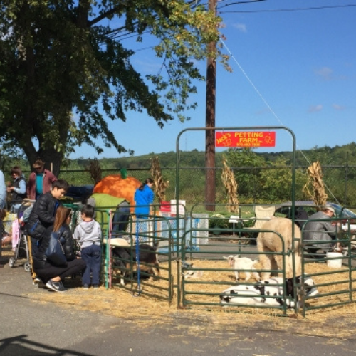 Morristown Agway's Annual Petting Zoo