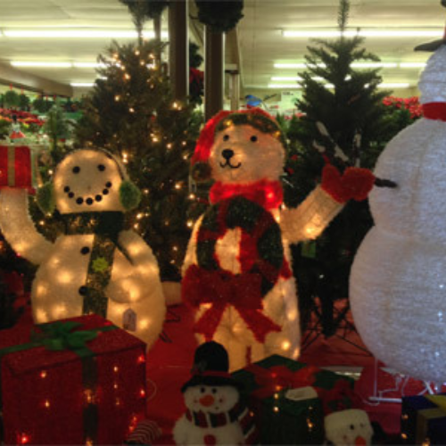 Inside Morristown Agway