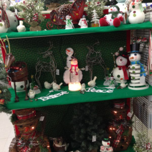 Inside Morristown Agway