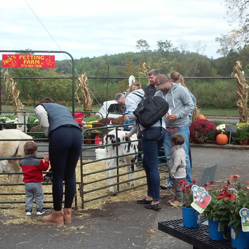 Morristown Agway's Annual Petting Zoo