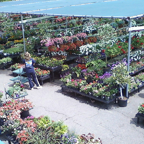 Inside Morristown Agway