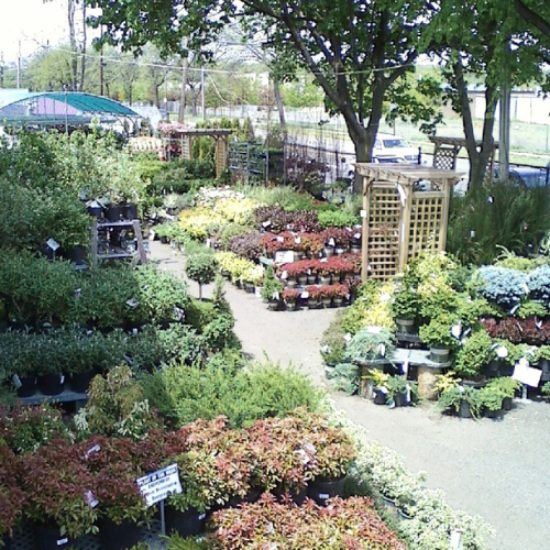 Inside Morristown Agway