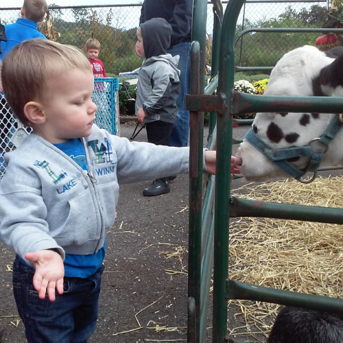 Morristown Agway's Annual Petting Zoo