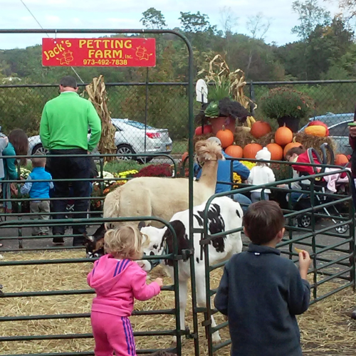 Morristown Agway's Annual Petting Zoo