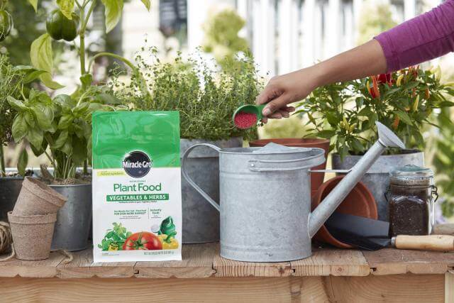 meherrin fertilizer garden plant food Miracle-Gro® Water Soluble Plant Food Vegetables and Herbs
