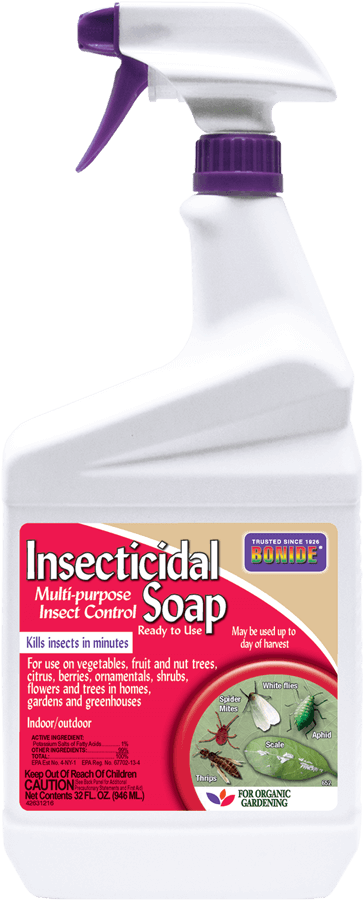 insecticidal soap for mites Bonide Insecticidal Soap - Morristown, NJ
