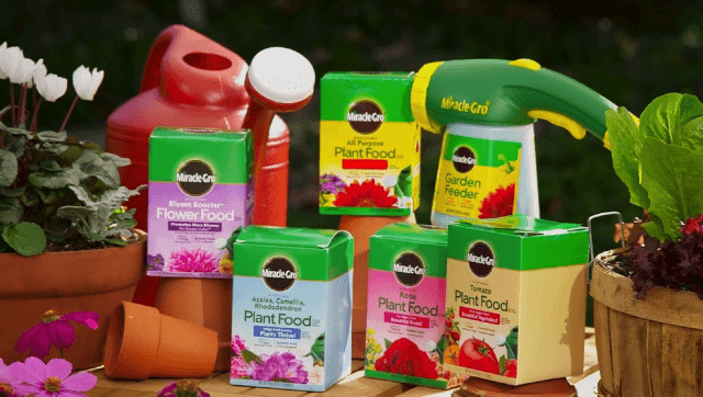 Miracle-Gro® Water Soluble Tomato Plant Food - Morristown, NJ