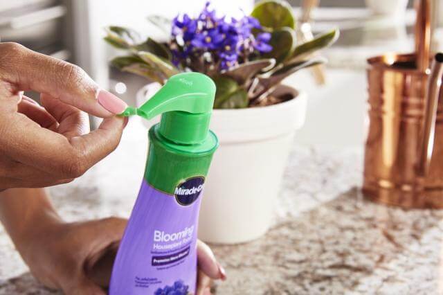 miracle gro liquid indoor plant food Miracle-Gro® Blooming Houseplant Food - Morristown, NJ