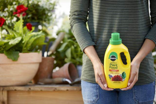 plant food liquid fertilizer Miracle-Gro® Liquid All Purpose Plant Food - Morristown, NJ