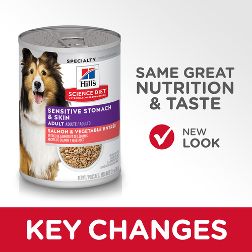 Hill s Science Diet Adult Sensitive Stomach Skin Salmon
