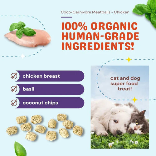 CocoTherapy Coco-Carnivore Meatballs – Chicken + Basil + Coconut Dog Treats
