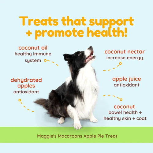 CocoTherapy Maggie's Macaroons Coconut Apple Pie - Organic Coconut Treat for Dogs (4 oz)