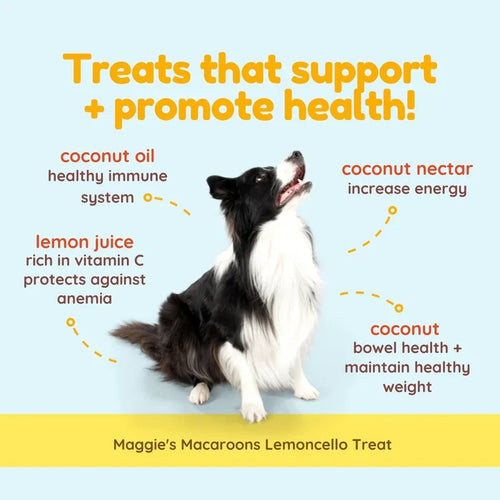 CocoTherapy Maggie's Macaroons Coconut Lemoncello - Organic Coconut Treat for Dogs (4 oz)