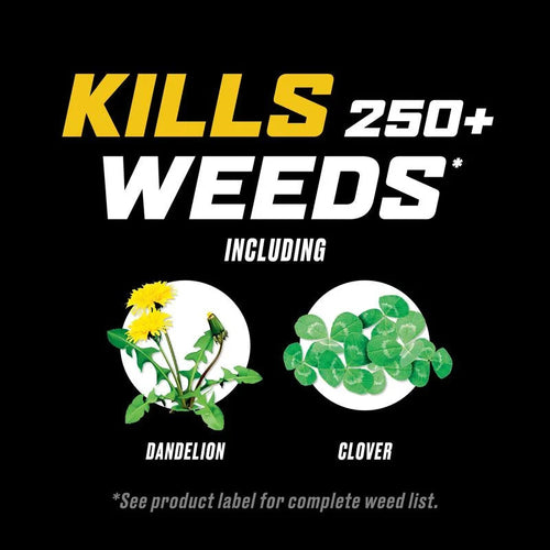 clover weed herbicide Ortho® WeedClear™ Weed Killer for Lawns - Morristown, NJ