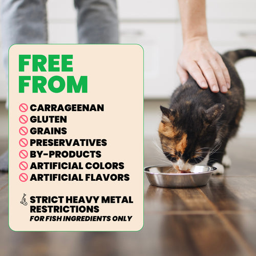 Almo Nature Natural HQS Chicken Breast in broth Wet Cat Food