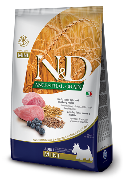 Farmina N&D Ancestral Grain Lamb & Blueberry Adult Dog Mini