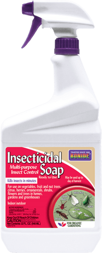 insecticidal soap for plants Bonide Insecticidal Soap - Morristown, NJ
