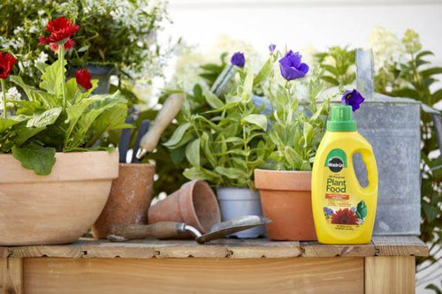 miracle gro liquid plant fertilizer Miracle-Gro® Liquid All Purpose Plant Food - Morristown, NJ
