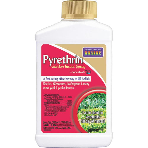 vegetable garden insect killer Bonide 8 Oz. Concentrate Pyrethrin Insect Killer - Morristown, NJ