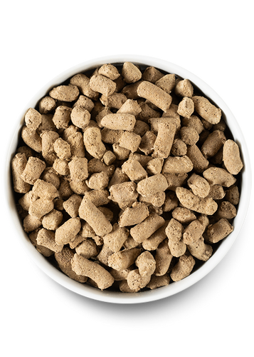 Open Farm Pasture-raised Lamb Freeze Dried Raw Dog Food