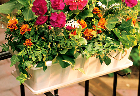 polypro plastic flower box planter Novelty Poly-Pro Flower Planter - Morristown, NJ