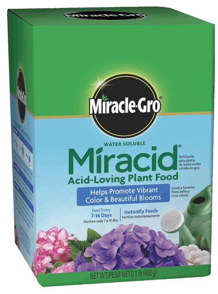 fertilizer for acid loving plants Miracle-Gro® Water Soluble Miracid® Acid-Loving Plant Food